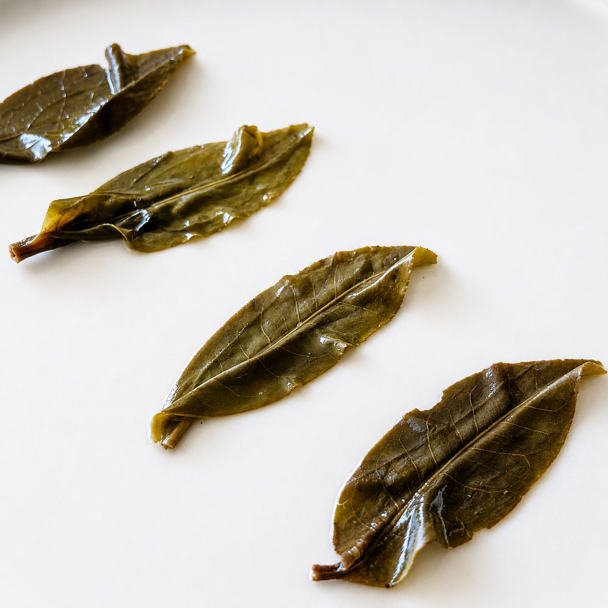 2025 "Wild Mountain Spirit Leaf" Yongde Raw Pu Erh Tea Balls