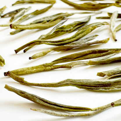 Anji Huang Jin Ya (Germoglio dorato) Tè Verde