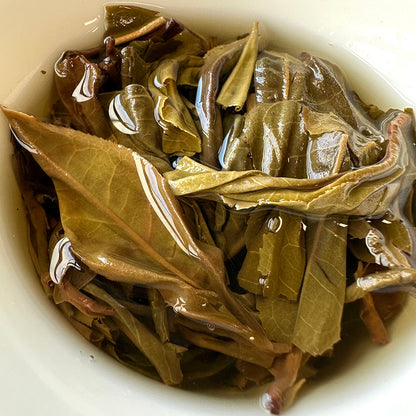zheng qi tang tea tasting