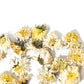 White Chrysanthemum (Gong Ju)